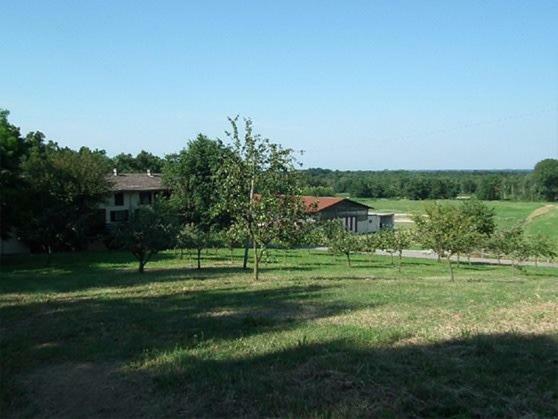 Agriturismo Cargandino Villa Mezzomerico Ngoại thất bức ảnh
